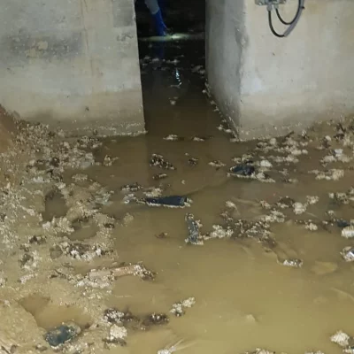 Assainissement canalisation